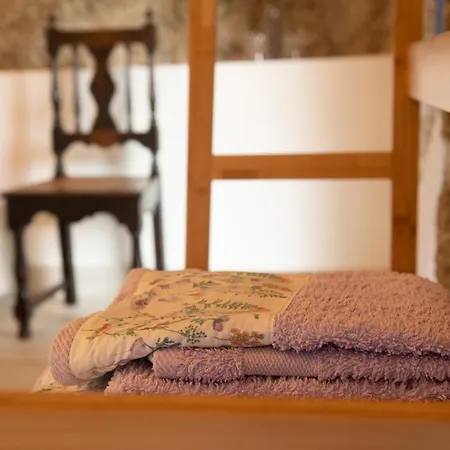 Casa Da Portela - Sem Igual Country house Meinedo