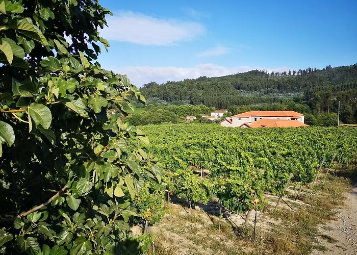 Casa Da Portela - Sem Igual Venkovský dům *