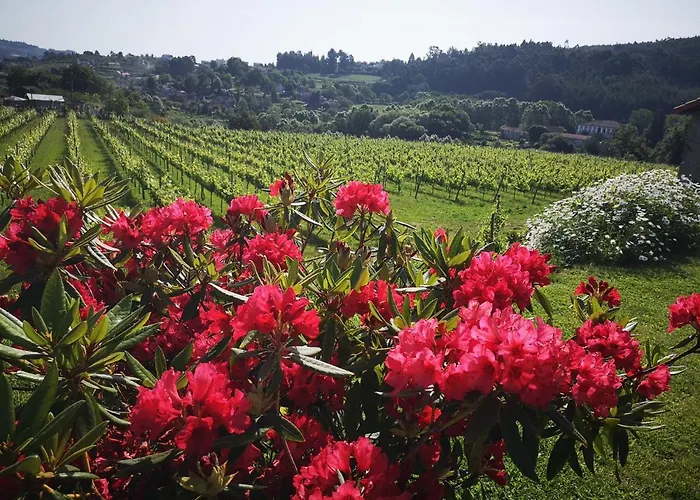 乡村民宿 Casa Da Portela - Sem Igual *