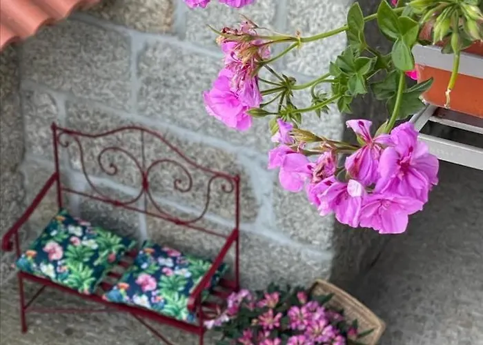 Venkovský dům Casa Da Portela - Sem Igual Meinedo