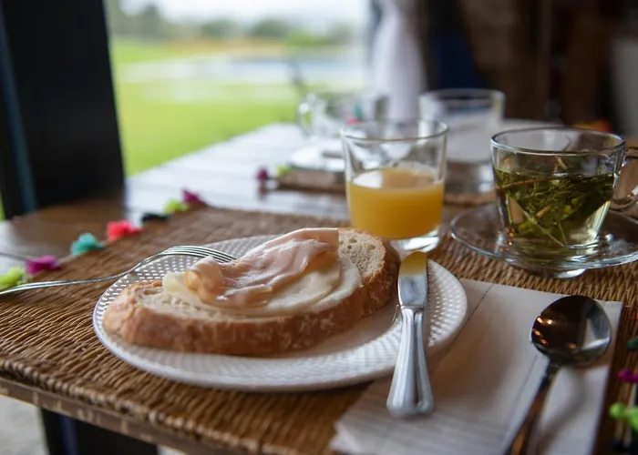 乡村民宿 Casa Da Portela - Sem Igual Meinedo